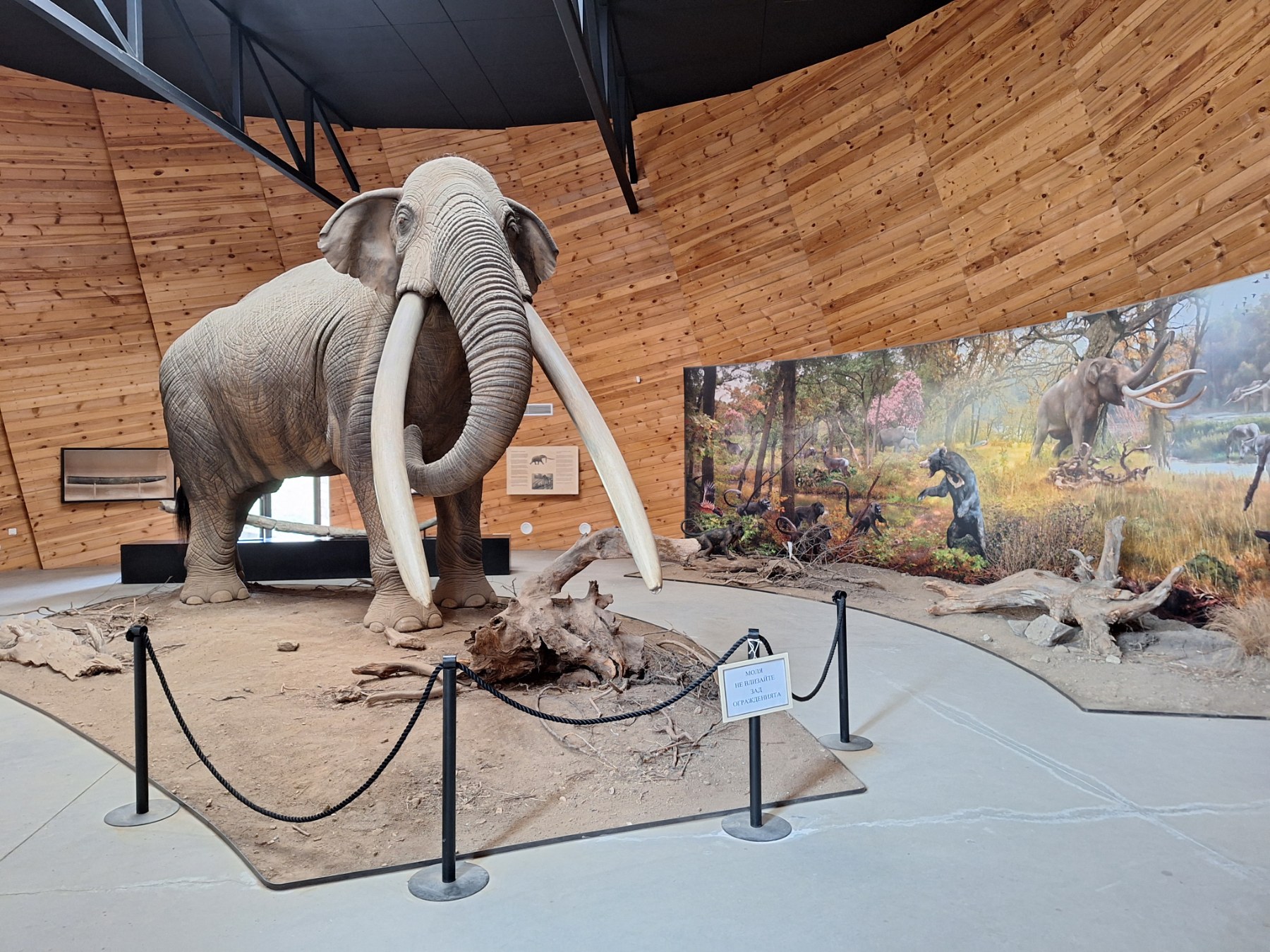 <p>Плиоценският парк в Дорково е най-голямото находище на Балканите, събрало над 600 кости от 30+ вида древни животни. С уникалния си музей то разкрива вълнуваща история за климата и природата в Източна Европа преди милиони години.</p>