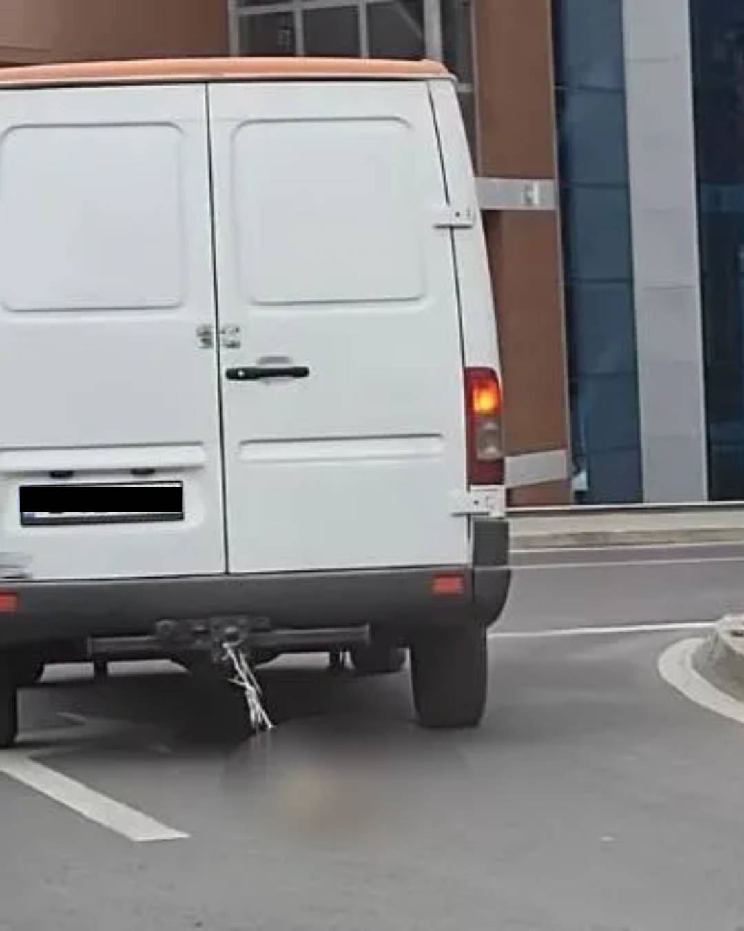 тормоз над животно