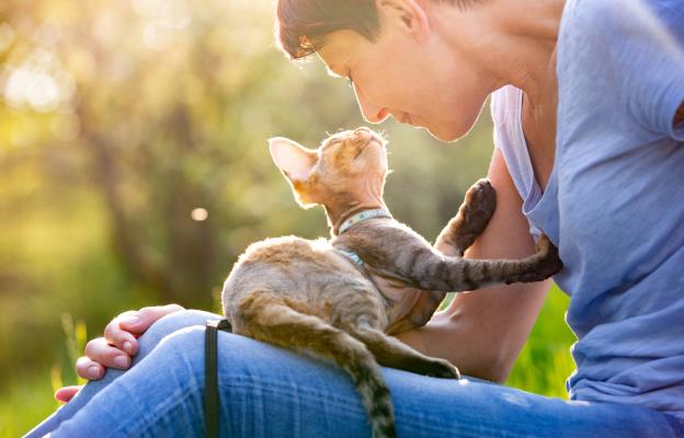 Котка и стопанка