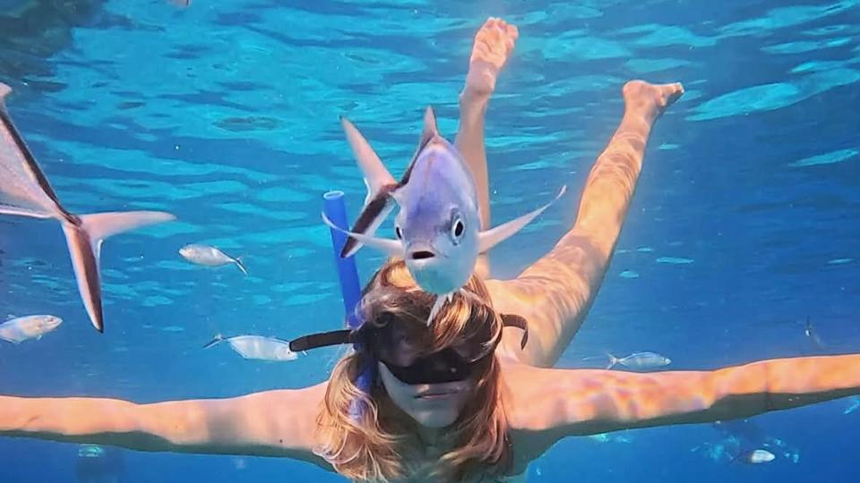 Снежана Макавеева