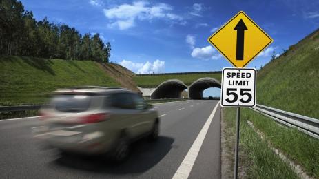 Нова система от камери в Щатите прави Waze почти ненужен