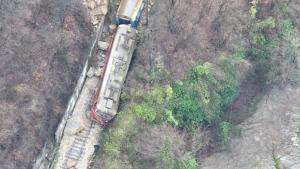 Влак Царева ливада