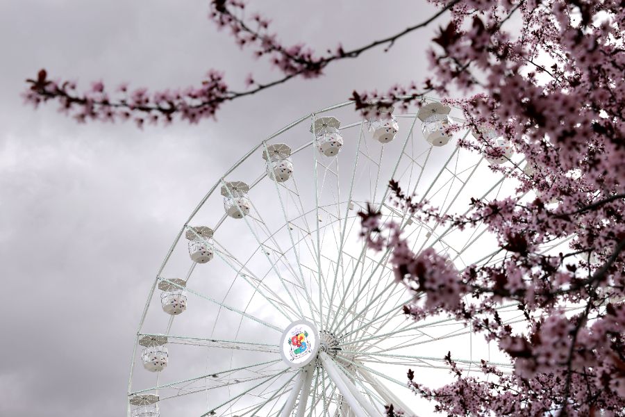 <p>В Княжеската градина в София беше открито 40-метрово виенско колело &ndash; най-високото в България и част от най-новото събитие в столицата Sun Fest Sofia.</p>