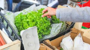 яйца марули