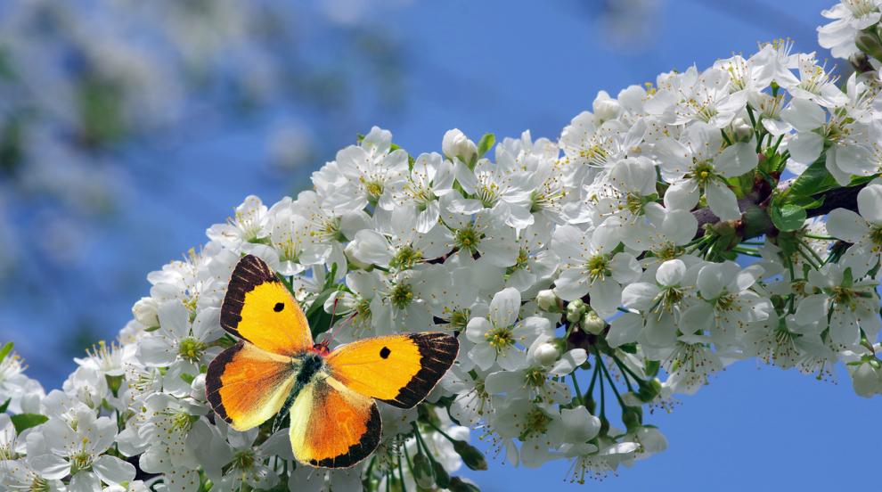 Слънце и до 25°C в понеделник, после идва захлаждане