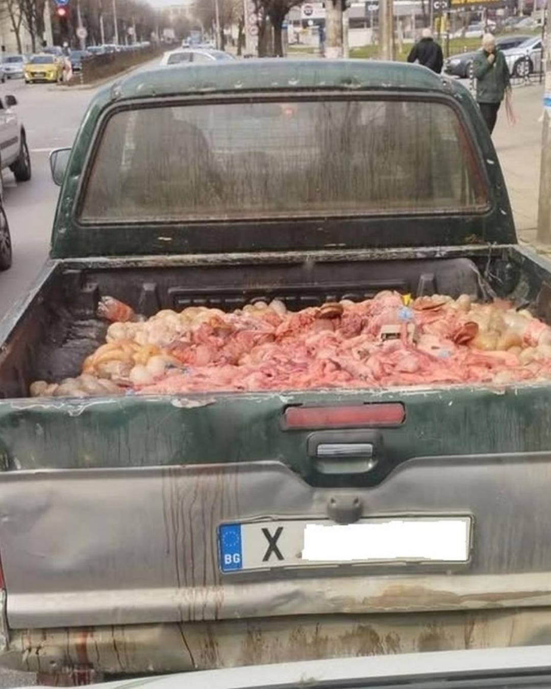 БАБХ карантии