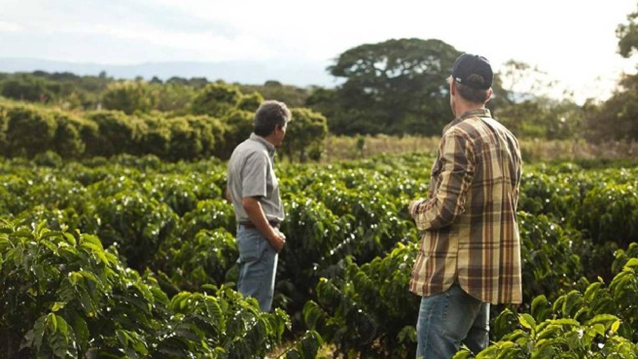 платени публикации