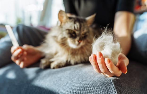 Жена разресва котка