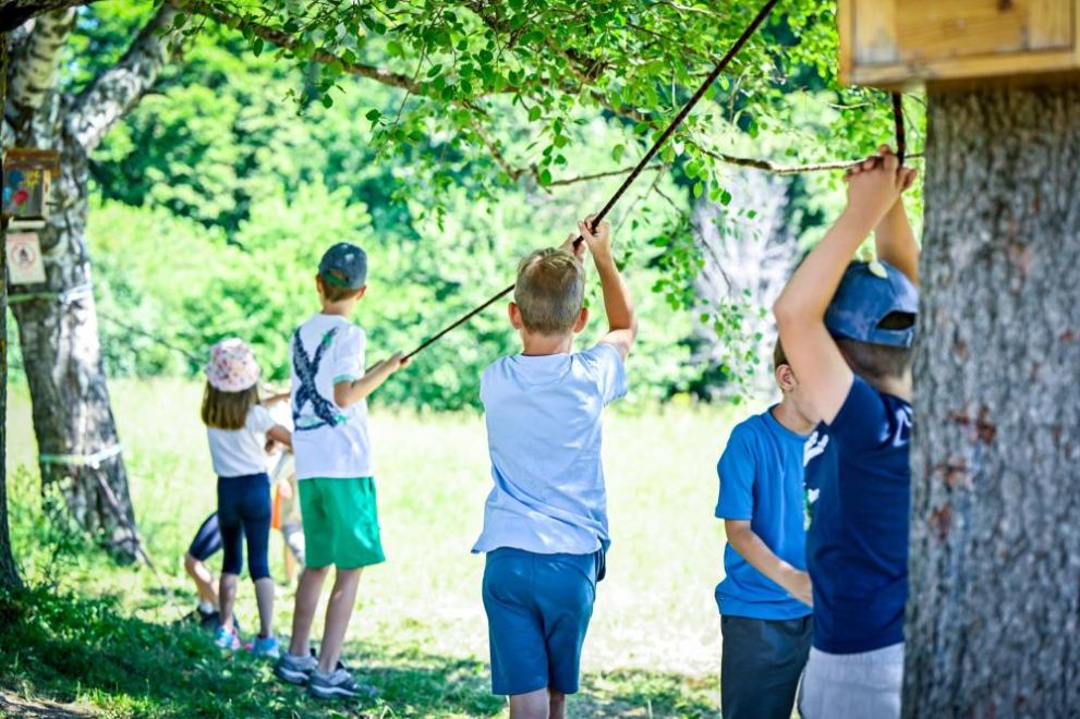 Зелено училище Витоша
