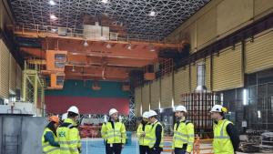 ПАВЕЦ Чайра