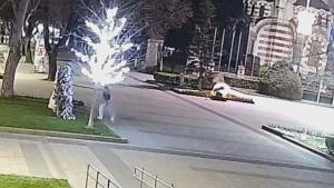 Плевен заек украса жена