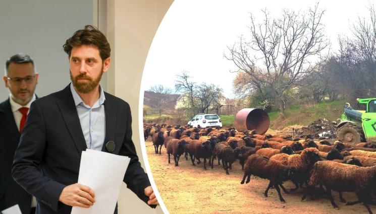 ss - Ангел Мавровски, шеф на агенцията по храните, пред 