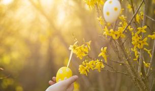 Времето на Великден: Слънце и до 18 градуса, слаб дъжд на места