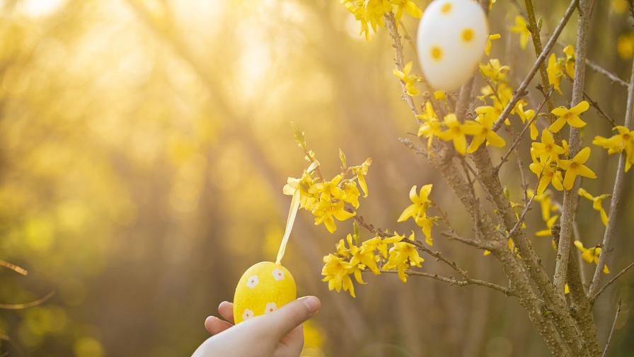 Времето на Великден: Слънце и до 18 градуса, слаб дъжд на места