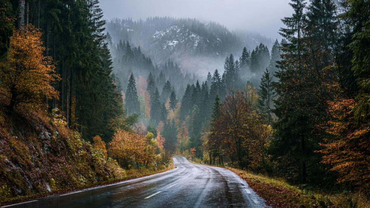 Температури до 18 градуса и валежи в Западна България