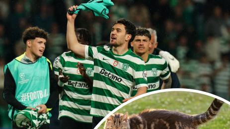 Спортинг Лисабон котка