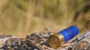 ловни патрони