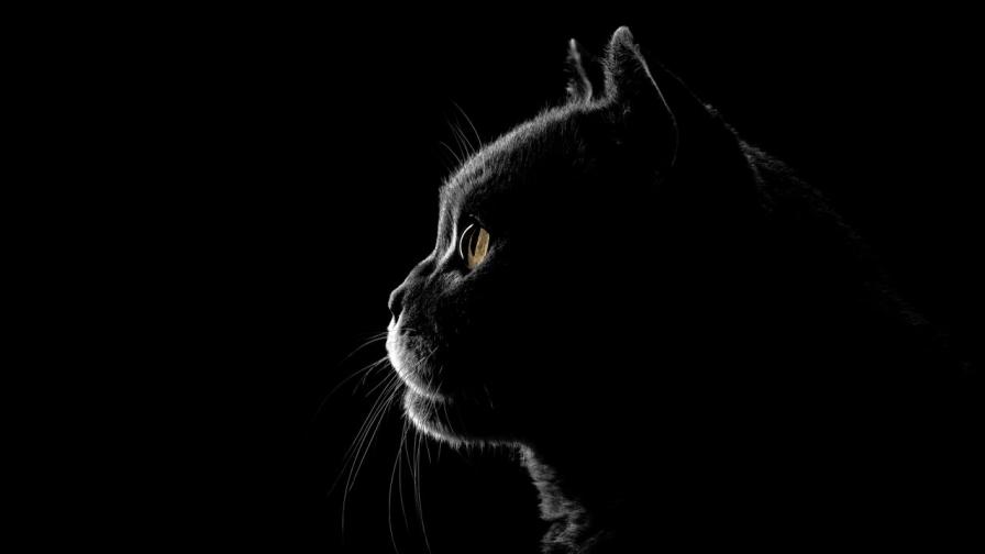 Снимката е илюстративна