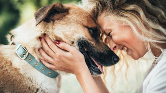 6 знака, че кучето ви има доверие