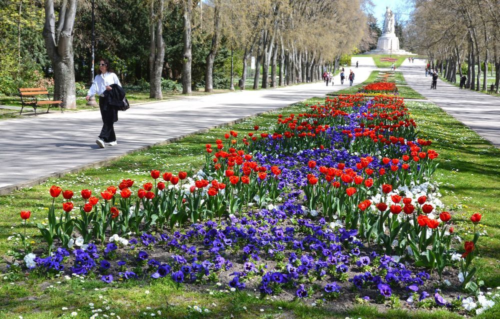 Пролетта преобразява Варна в палитра от цветове и аромати