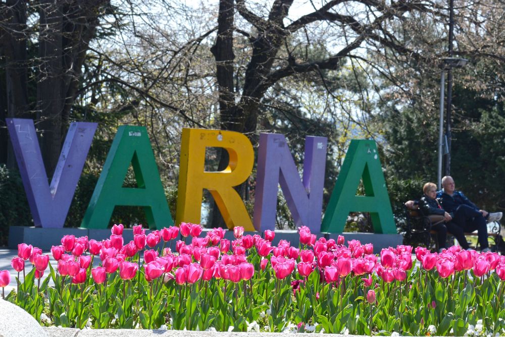 Алеите се изпълват с разцъфнали красиви цветя