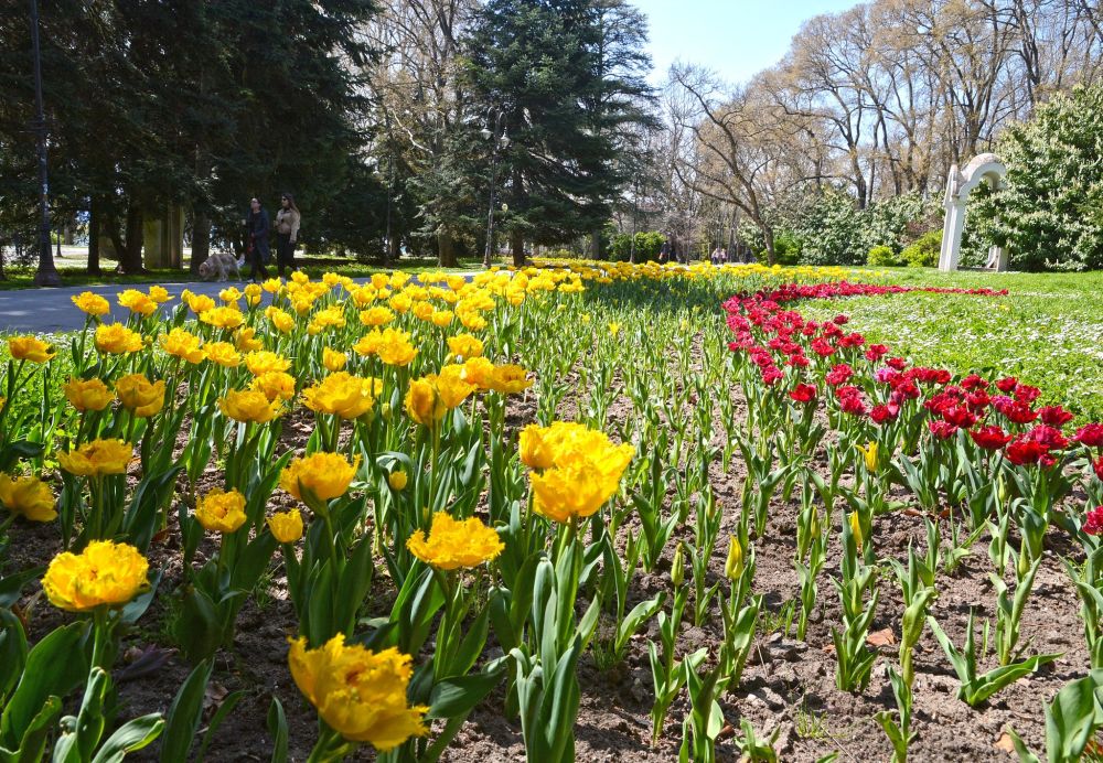 Слънчевите лъчи придават особена мекота на морския град