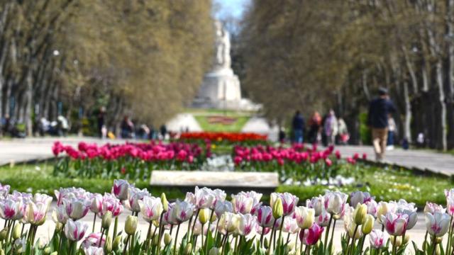 Пролетна магия край морето: Варна разцъфна - градът в прегръдката на пролетта (ГАЛЕРИЯ)