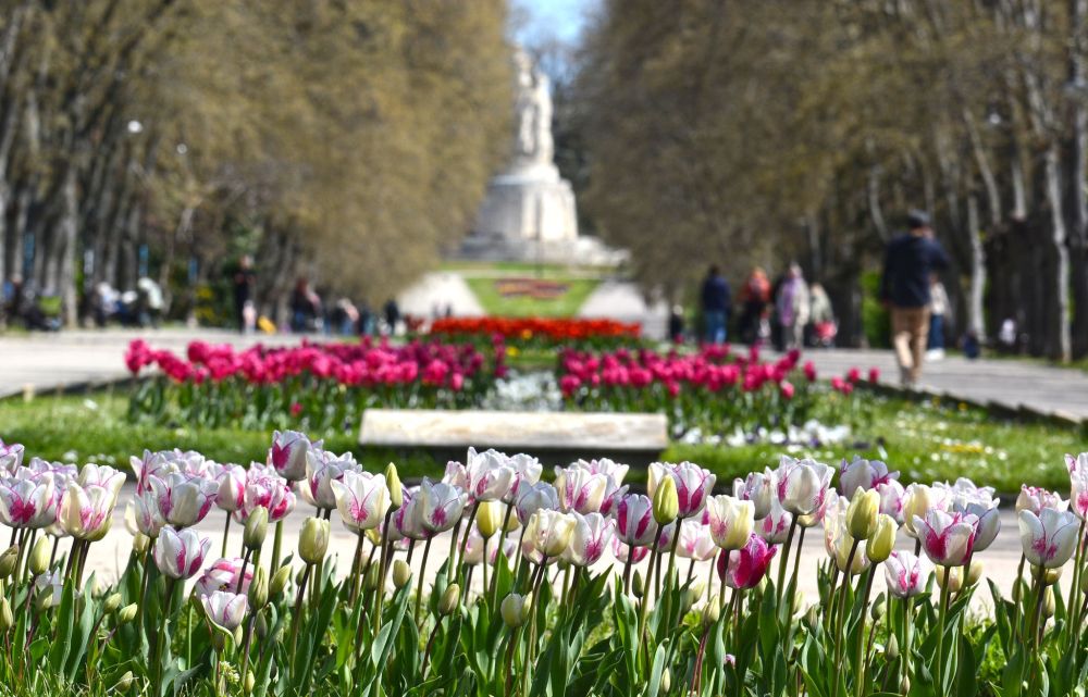 Слънчевите лъчи придават особена мекота на морския град