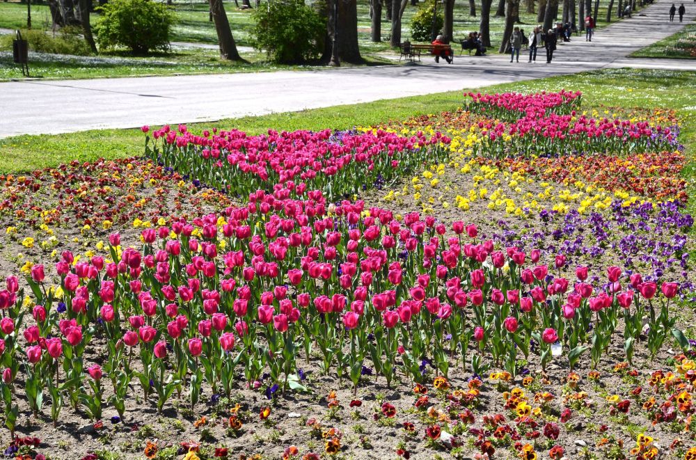 Морският бриз допълва пролетното настроение