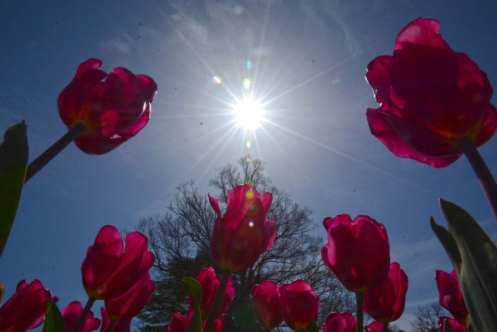 Морският бриз допълва пролетното настроение