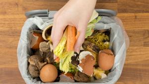 храна боклук