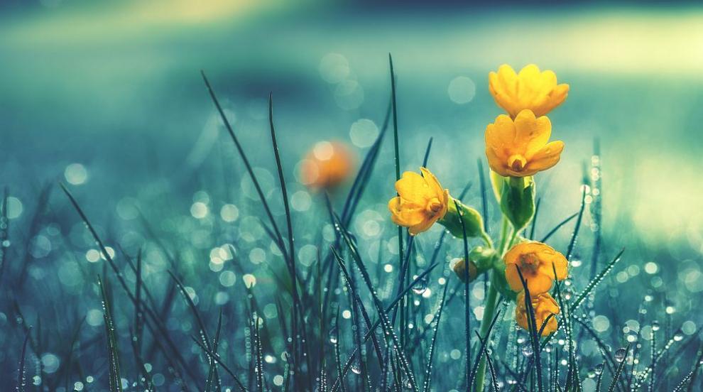 Времето се обръща с дъжд, вятър и гръмотевици – какво ще е в деня на вота