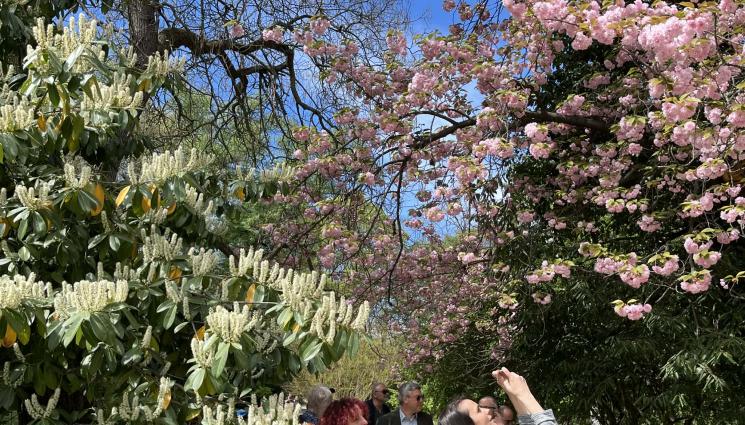 д - ПРОГНОЗА ЗА ВРЕМЕТО: Редуват се слънце, дъжд и сняг