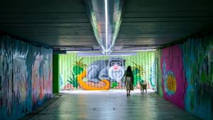 Столична община подлези