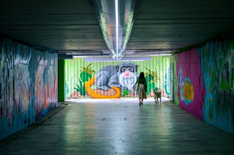 Столична община подлези