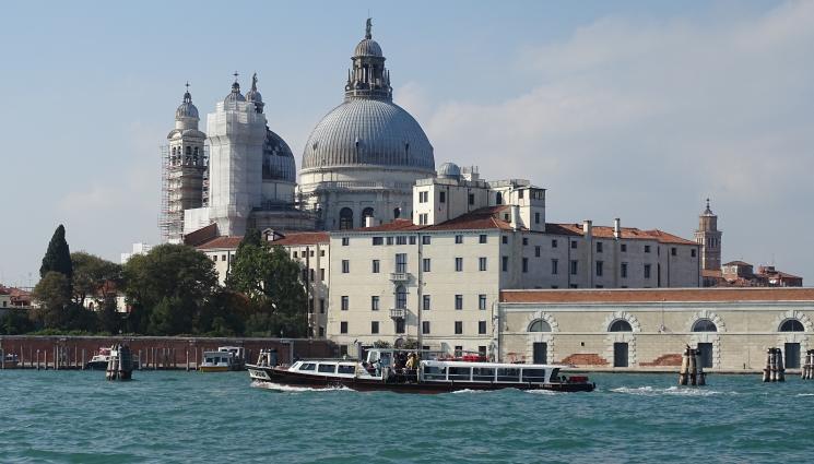 лозя - Цикади нападнаха островите на Венеция