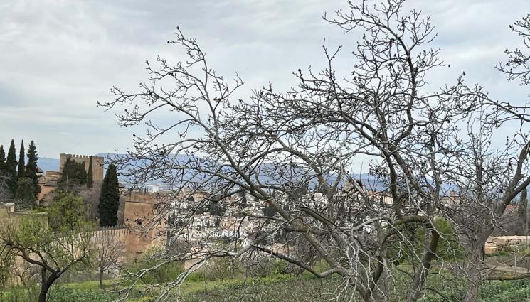 градина - Махаме найлона в градината при тихо време