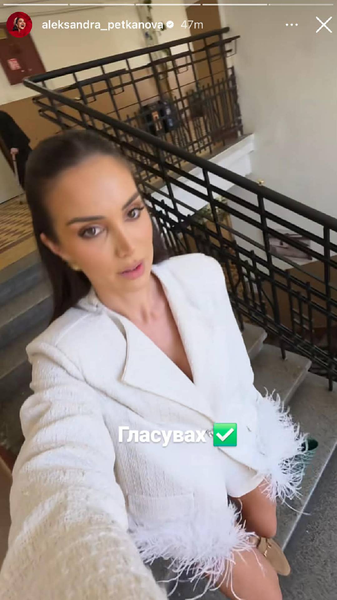 звезди избори