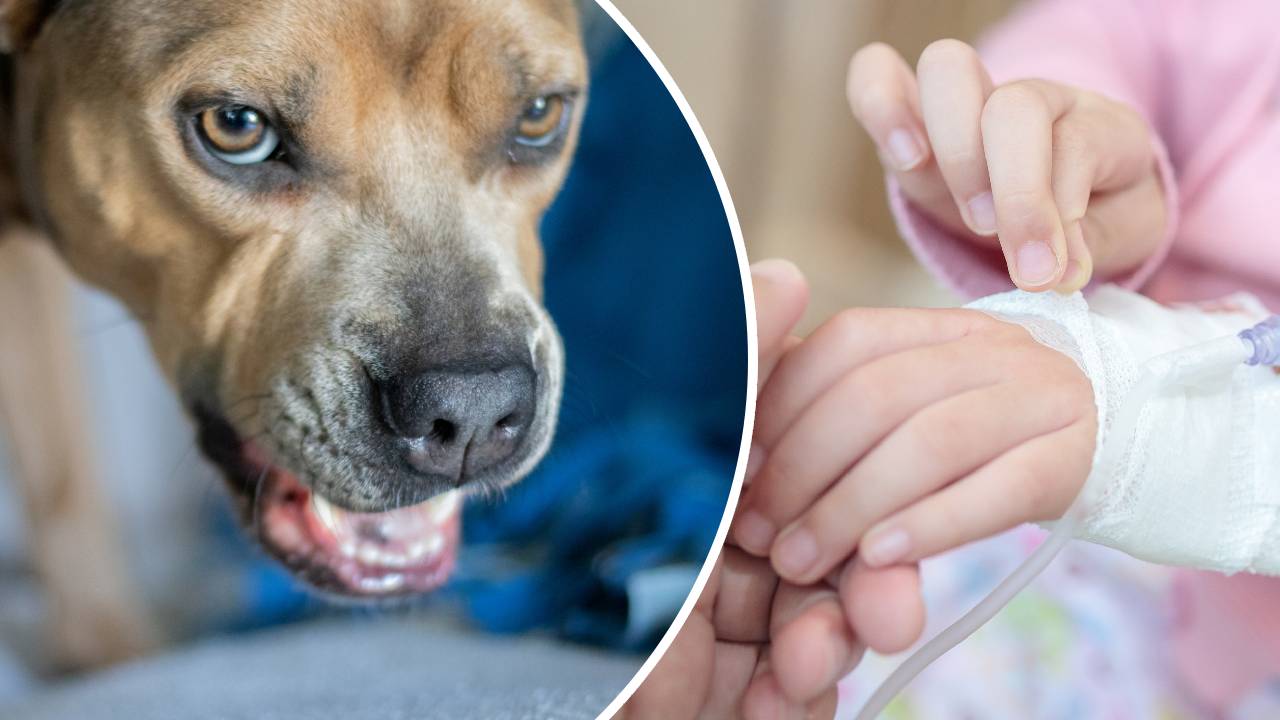 дете болница