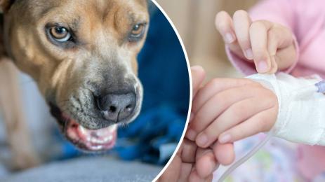 дете болница