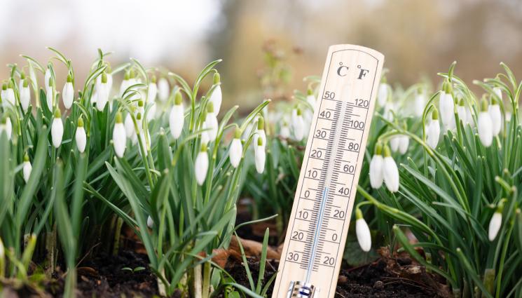 времето пролет