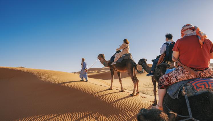 Сахара - НАД БЪЛГАРИЯ: Сахара довя 114 прашни дни