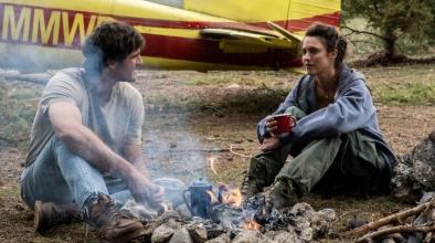 Кучешките звезди