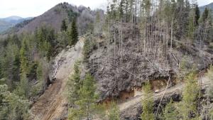 Извършените сечи в село Кремене