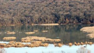 защитена местност река Студена