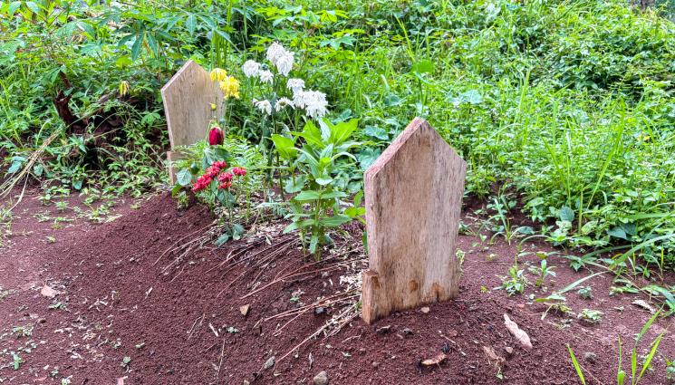 гроб - КАТО ВЪВ ФИЛМ НА УЖАСИТЕ: Мъж е погребан тайно в двора на къща