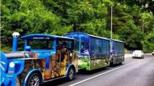 влакче Враца