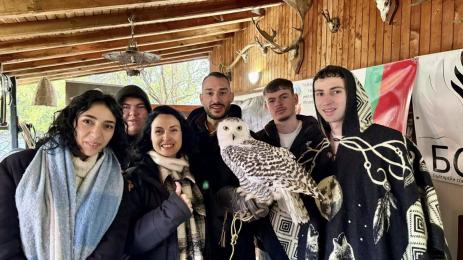 Сова Хари Потър