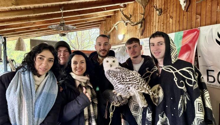 Сова Хари Потър - Совата на Хари Потър живее във ферма „Парадайс“