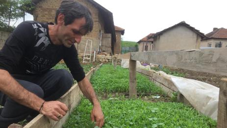 пипер сеитба